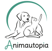 logo animautopia